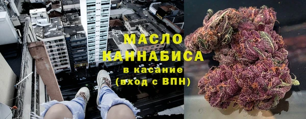 прущие грибы Алзамай