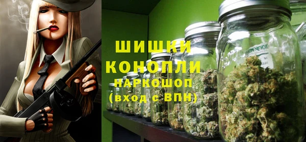 Альфа ПВП Аркадак