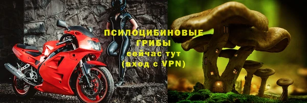 не бодяженный Арсеньев