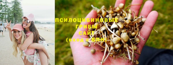 ALPHA PVP Осташков