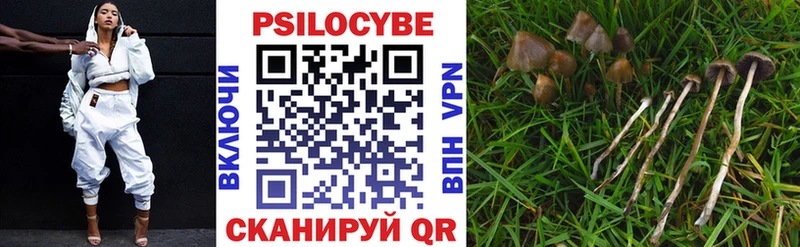 как найти закладки  Пустошка  кракен сайт  Галлюциногенные грибы Psilocybe 